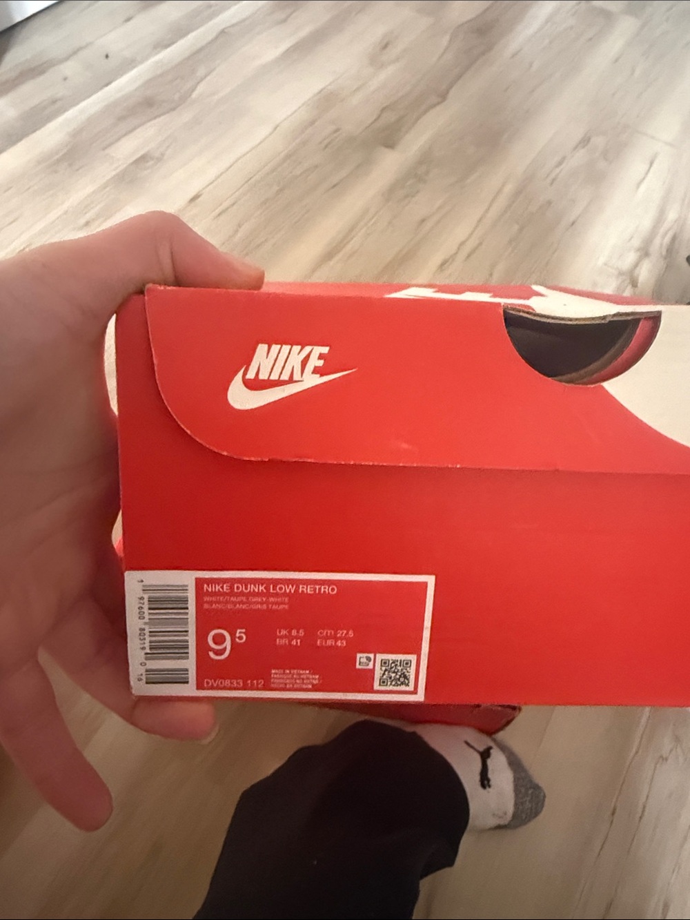 Men’s Dunk Low Retro